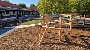 Cours oasis en bois de robinier